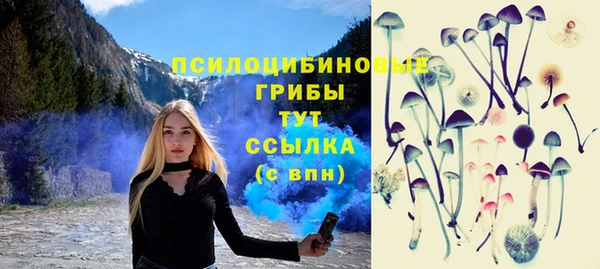 ешки Куйбышев