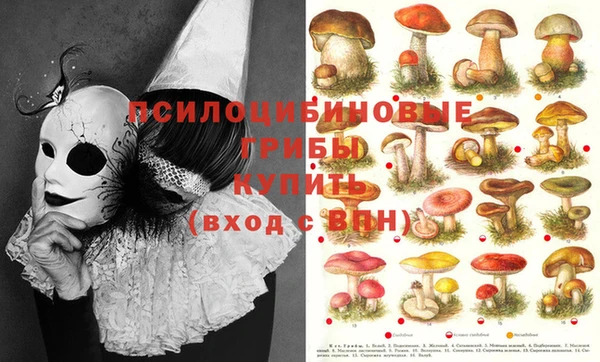 герыч Кулебаки